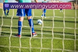 伊卡尔迪重返意甲的可能性分析与球队动态