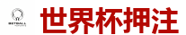 2026世界杯在线投注官网